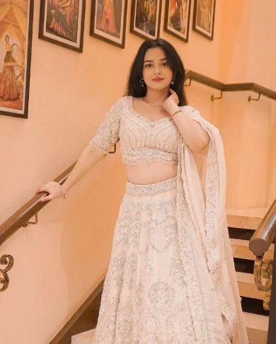 Ludhiana Call Girls service